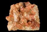 Natural, Red Quartz Crystal Cluster - Morocco #142937-1